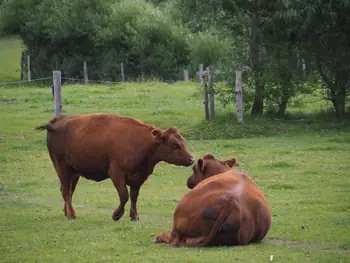 Ferme de la Planche (Blote voeten pad) (België)